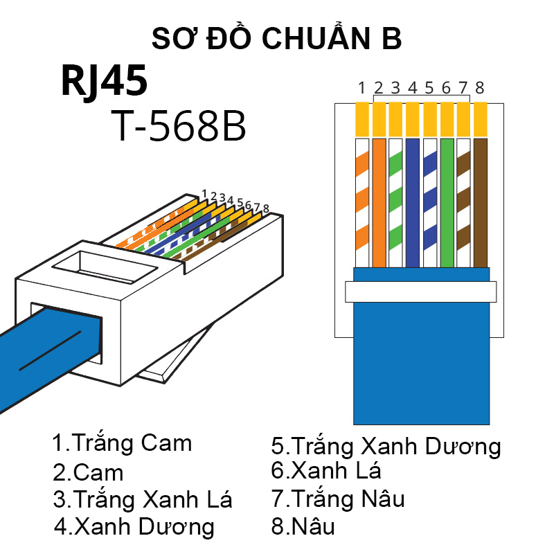 so-do-bam-dau-mang-rj45-chuan-b-t568b