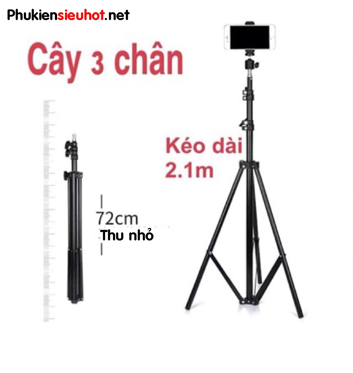 chn-gi--3_chn-kp_in_thoi-chi_tiktok-live
